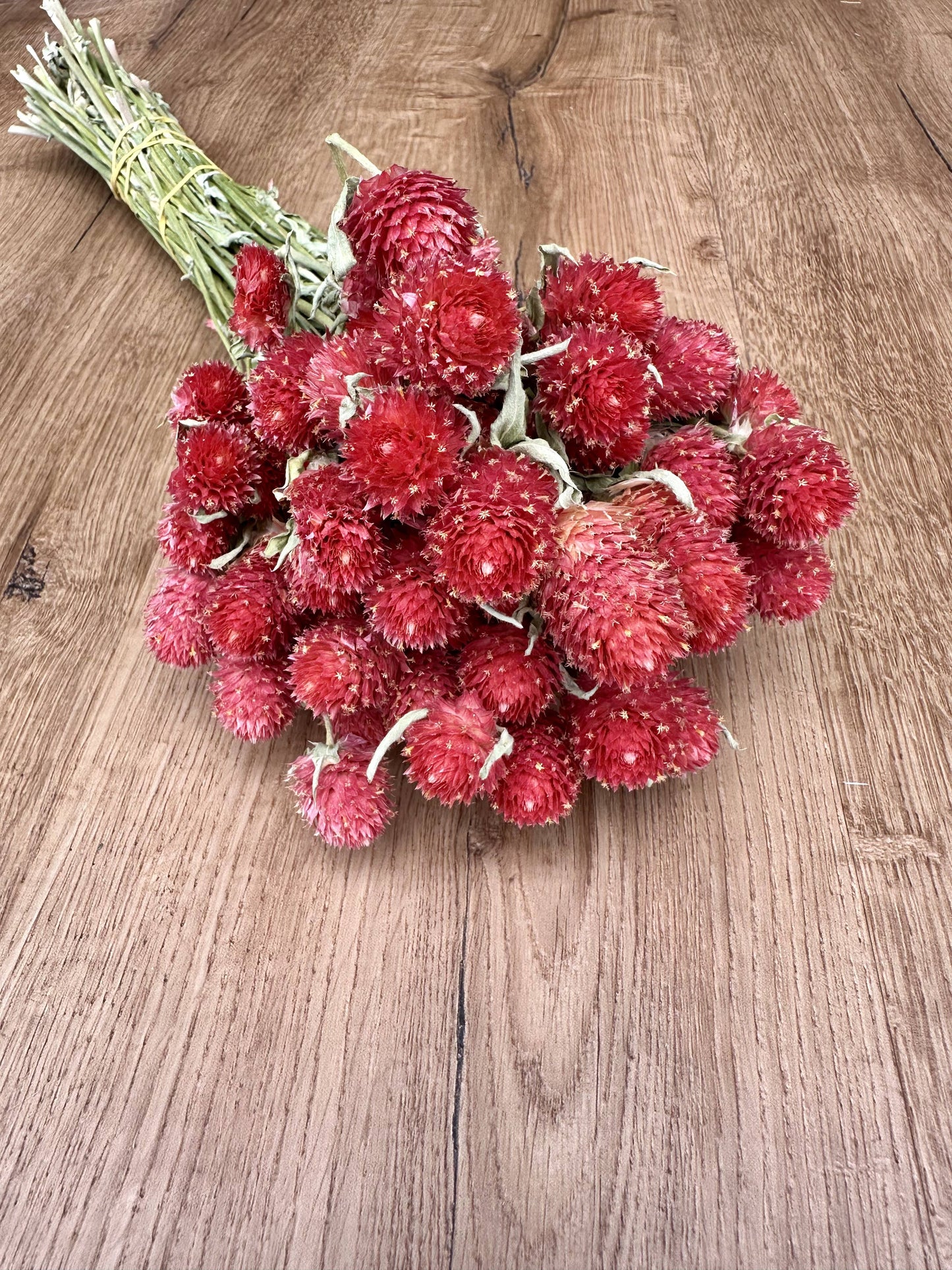 Globe Amaranth - Red