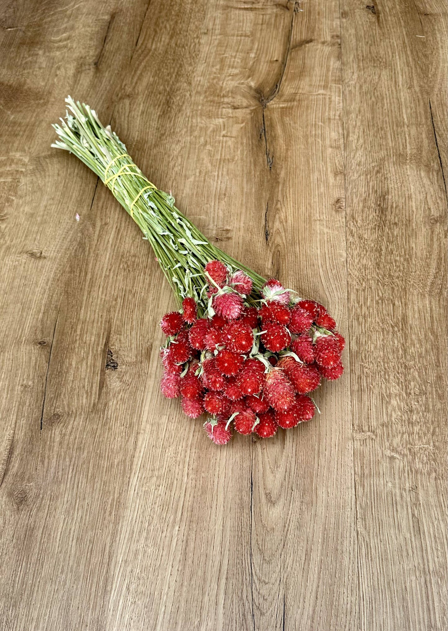 Globe Amaranth - Red